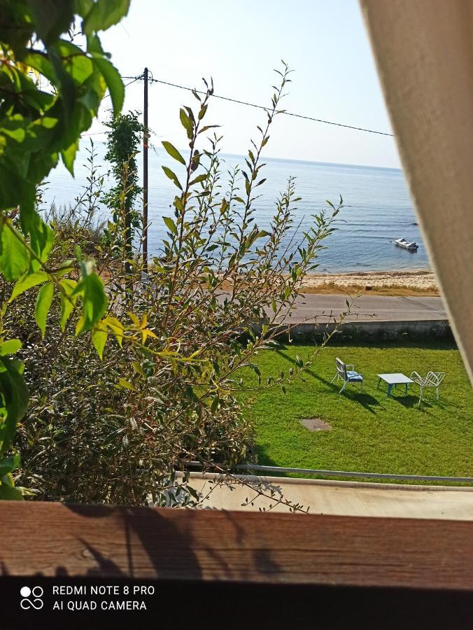 Villa Alexander Xanthi Buitenkant foto